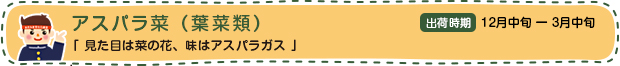 アスパラ菜