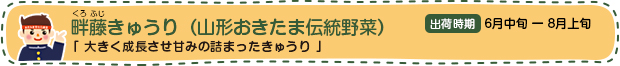畔藤きゅうり
