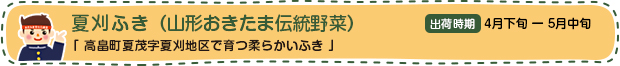 夏刈ふき