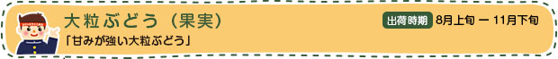 大粒ぶどう