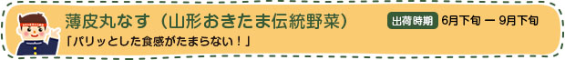 薄皮丸なす