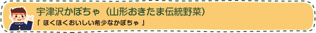 宇津沢かぼちゃ