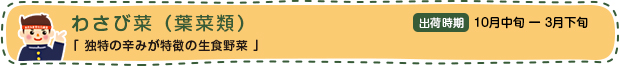 わさび菜